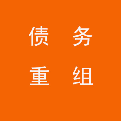 长武个人债务重组优化